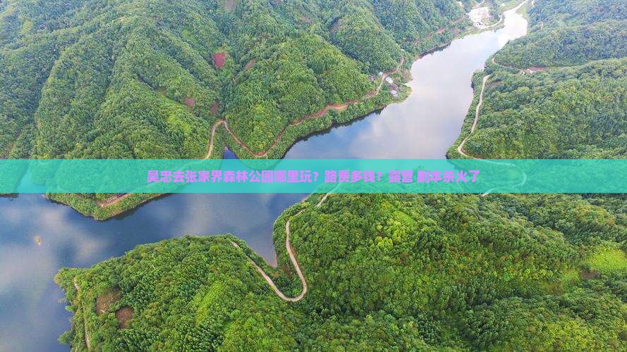 吴忠去张家界森林公园哪里玩？路费多钱？露营+剧本杀火了