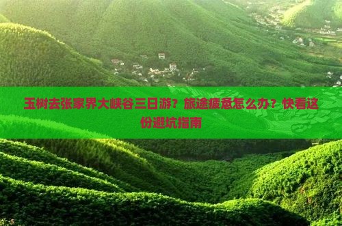 玉树去张家界大峡谷三日游？旅途疲惫怎么办？快看这份避坑指南