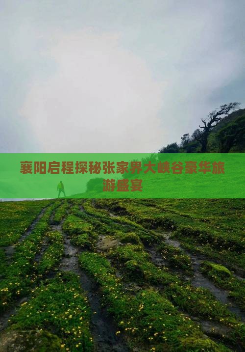 襄阳启程探秘张家界大峡谷豪华旅游盛宴