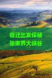 宿迁出发探秘张家界大峡谷：美食小吃攻略与景点深度游指南
