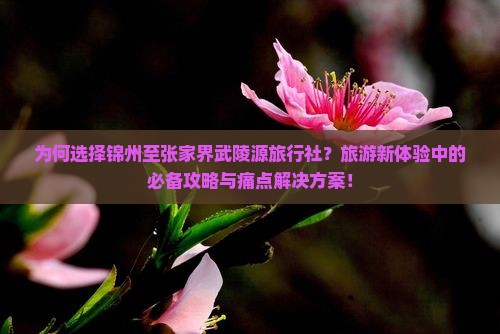 为何选择锦州至张家界武陵源旅行社？旅游新体验中的必备攻略与痛点解决方案！