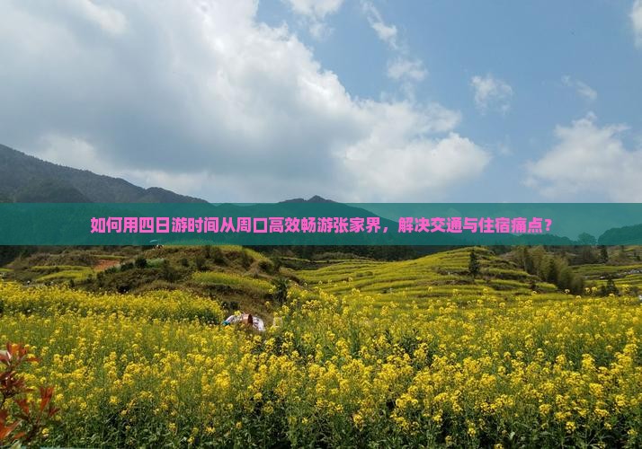 如何用四日游时间从周口高效畅游张家界，解决交通与住宿痛点？