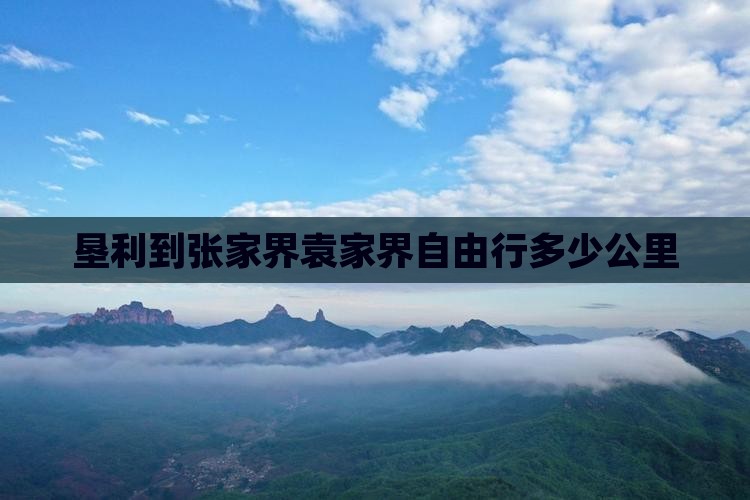 垦利到张家界袁家界自由行多少公里