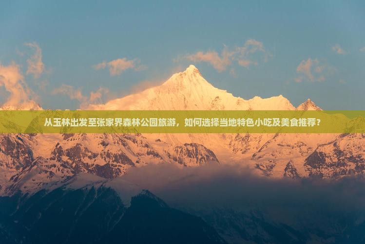 从玉林出发至张家界森林公园旅游，如何选择当地特色小吃及美食推荐？