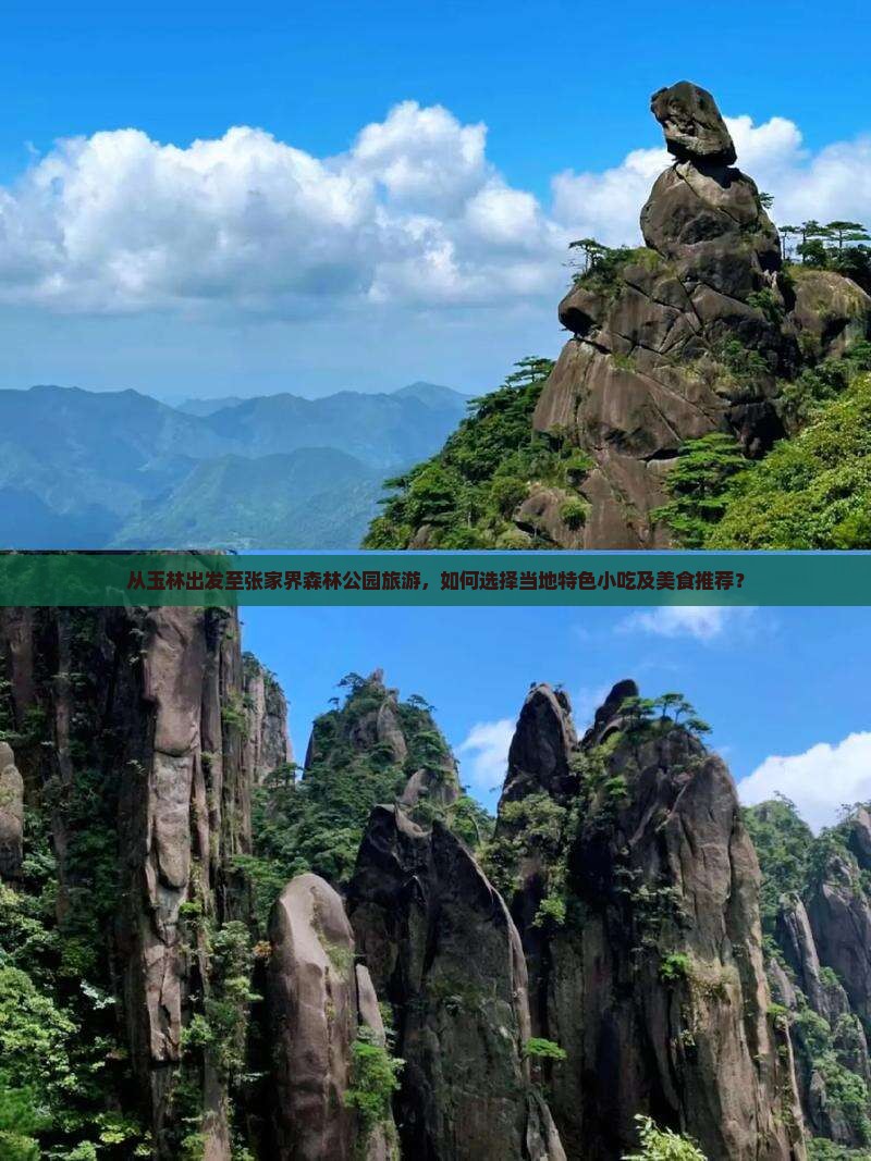 从玉林出发至张家界森林公园旅游，如何选择当地特色小吃及美食推荐？