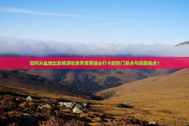 如何从盐城出发畅游张家界芙蓉镇必打卡的热门景点与隐藏痛点？