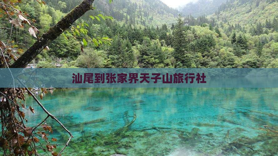 汕尾到张家界天子山旅行社