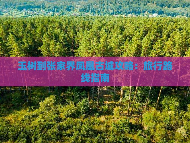 玉树到张家界凤凰古城攻略：旅行路线指南