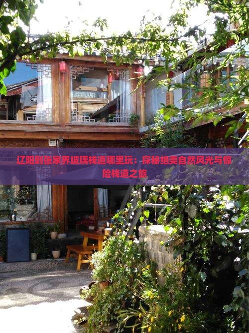 辽阳到张家界玻璃栈道哪里玩：探秘绝美自然风光与惊险栈道之旅