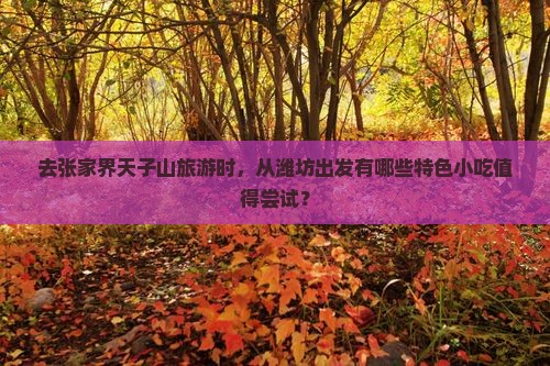 去张家界天子山旅游时，从潍坊出发有哪些特色小吃值得尝试？