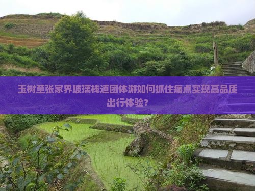 玉树至张家界玻璃栈道团体游如何抓住痛点实现高品质出行体验？
