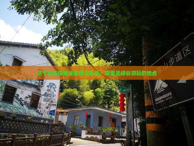 济宁出发探秘张家界大峡谷：哪里是峡谷游玩的地点