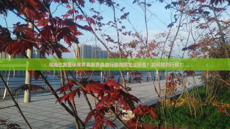 乌海出发至张家界袁家界自由行旅游团怎么报名？如何规划行程？