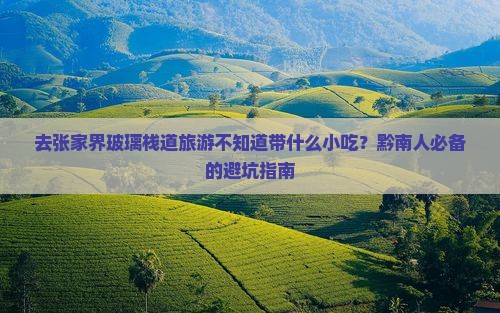 去张家界玻璃栈道旅游不知道带什么小吃？黔南人必备的避坑指南