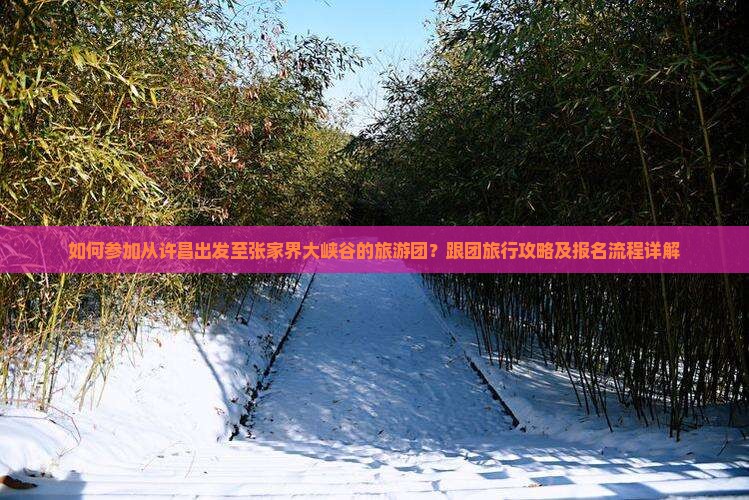 如何参加从许昌出发至张家界大峡谷的旅游团？跟团旅行攻略及报名流程详解
