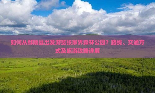 如何从鄢陵县出发游览张家界森林公园？路线、交通方式及旅游攻略详解