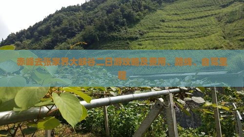 赤峰去张家界大峡谷二日游