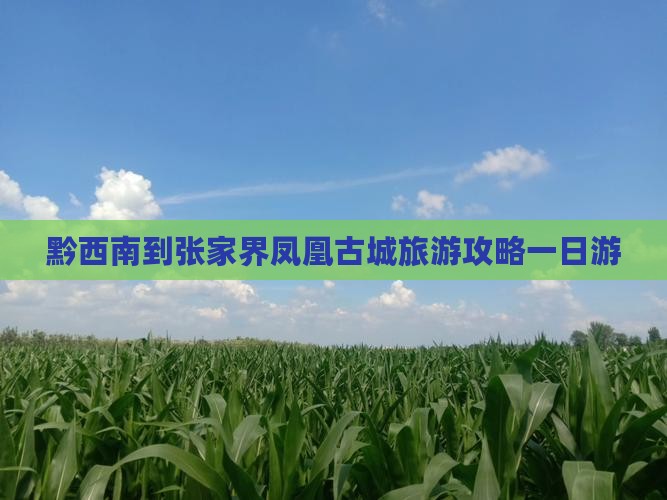 黔西南到张家界凤凰古城一日