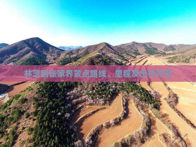 林芝到张家界景点