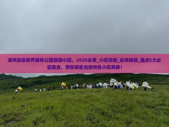 湖州去张家界森林公园旅游小吃