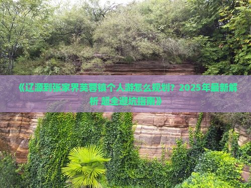 辽源到张家界芙蓉镇个人游