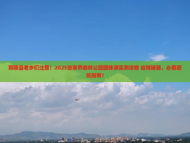 鄢陵县到张家界森林公园团体旅游
