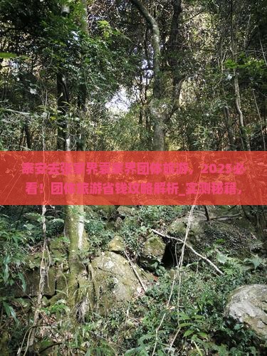 泰安去张家界袁家界团体旅游