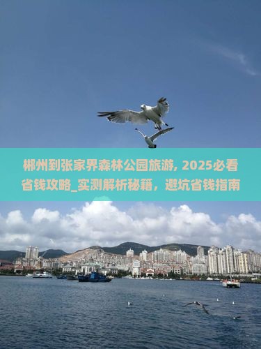 郴州到张家界森林公园旅游