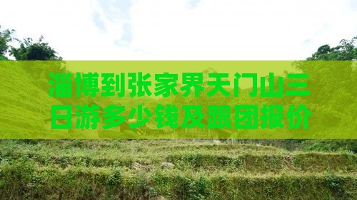 淄博到张家界天门山三日游
