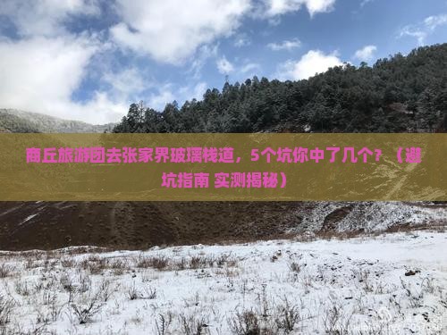 商丘去张家界玻璃栈道大型旅游团