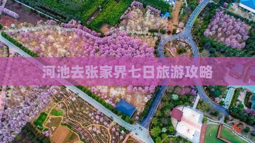 河池去张家界森林公园七日游