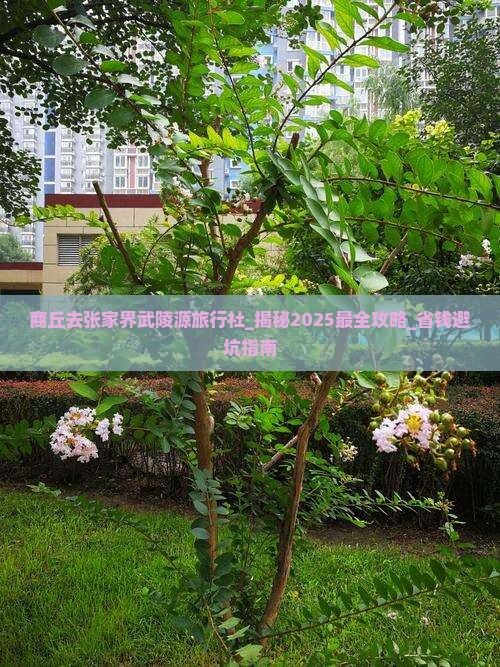 商丘去张家界武陵源旅行社