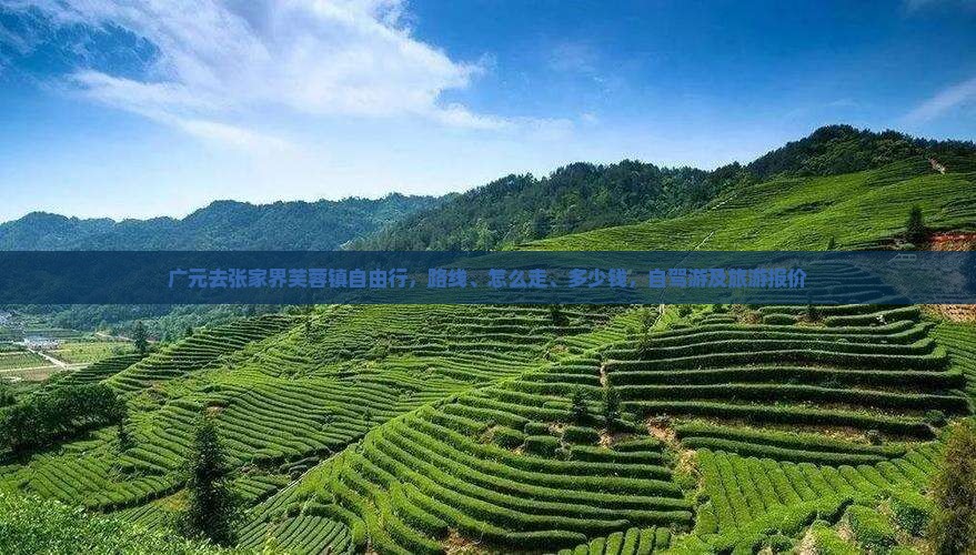 广元去张家界芙蓉镇自由行