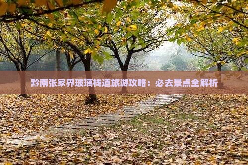黔南去张家界玻璃栈道旅游