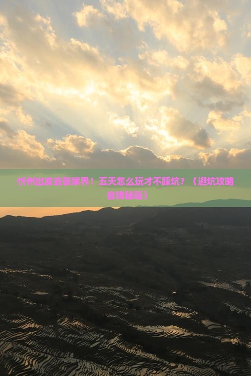 忻州去张家界森林公园五日游