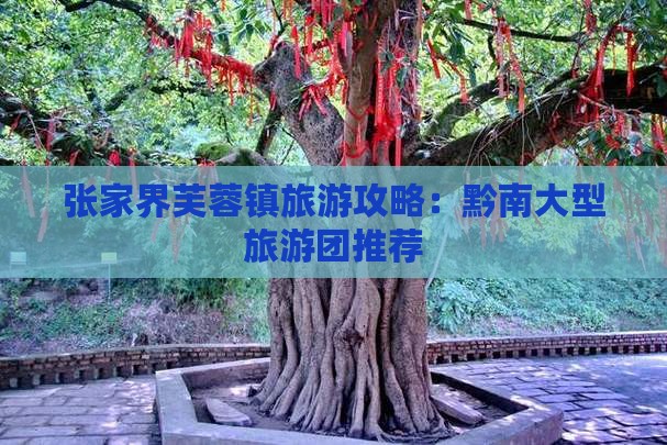 黔南去张家界芙蓉镇大型旅游团