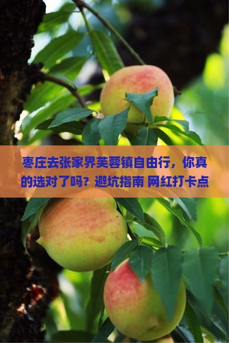 枣庄去张家界芙蓉镇自由行