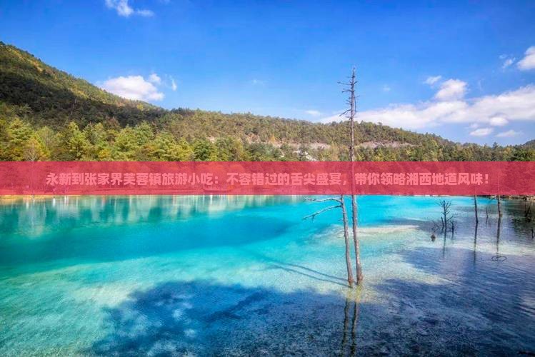 永新到张家界芙蓉镇旅游小吃