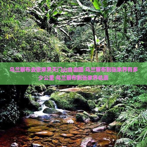 乌兰察布去张家界天门山自由团
