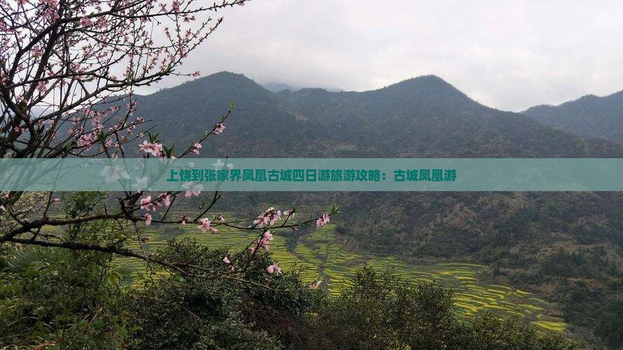 上饶到张家界凤凰古城四日游