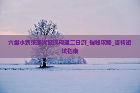 六盘水到张家界玻璃栈道二日游