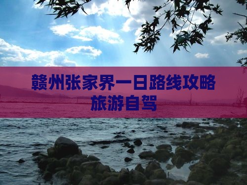 赣州到张家界袁家界一日