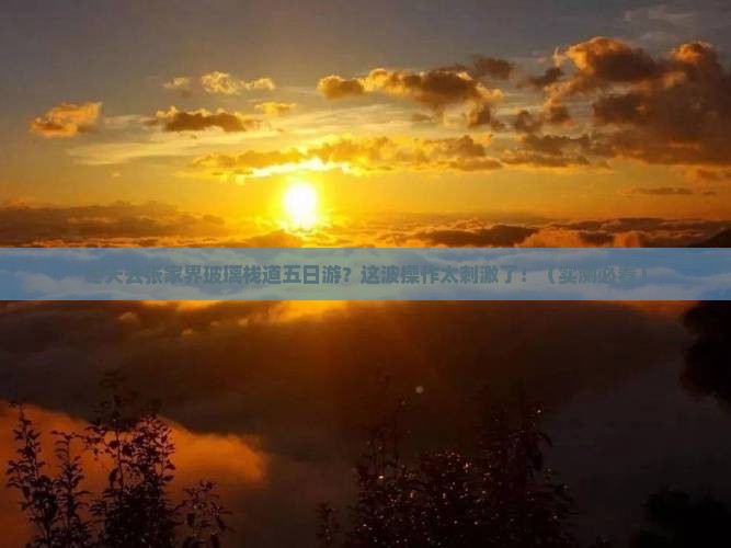冬天去张家界玻璃栈道五日游