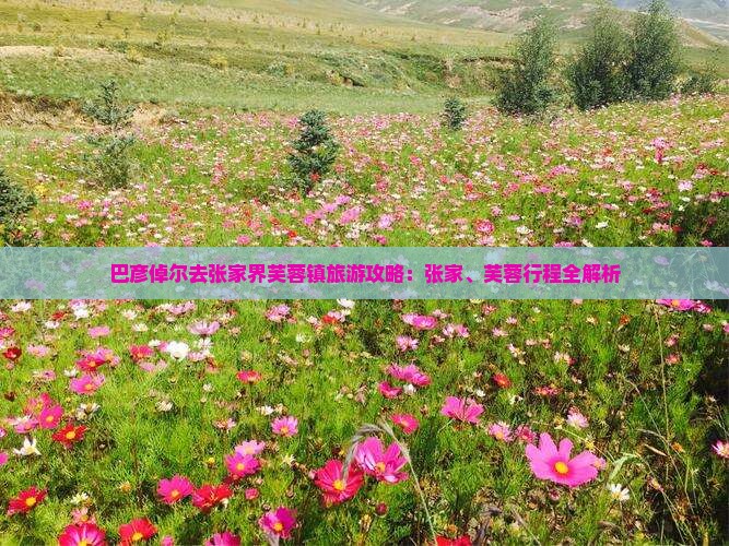 巴彦倬尔去张家界芙蓉镇团体旅游