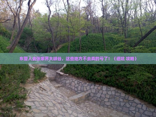 东营去张家界大峡谷必去地