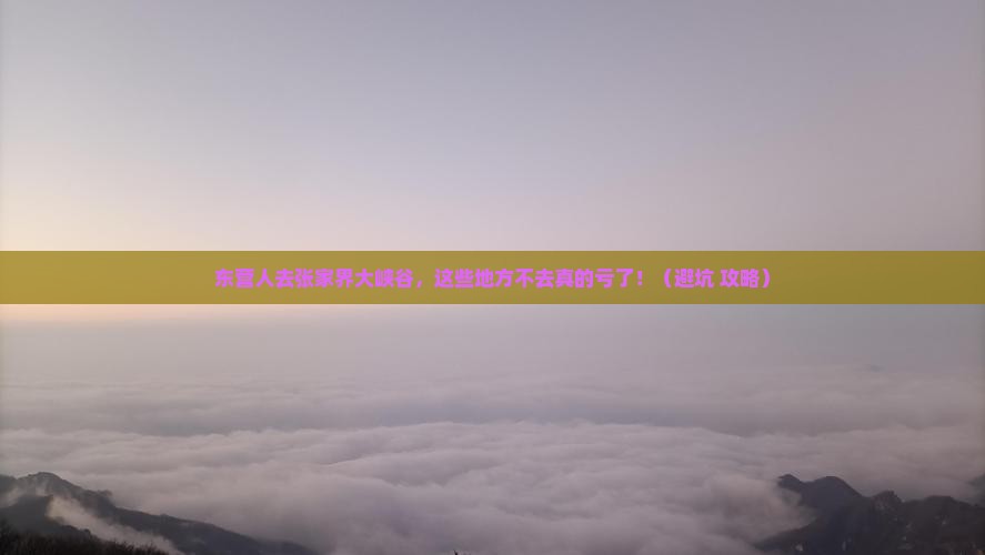 东营去张家界大峡谷必去地