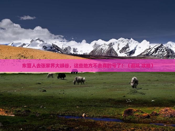 东营去张家界大峡谷必去地