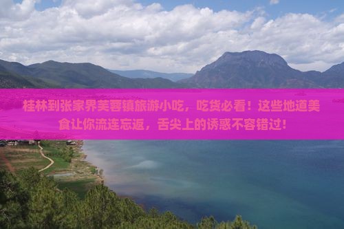 桂林到张家界芙蓉镇旅游小吃
