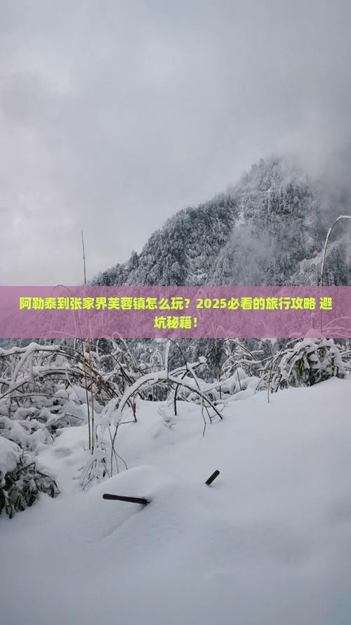 阿勒泰到张家界芙蓉镇旅行社