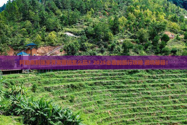 阿勒泰到张家界芙蓉镇旅行社